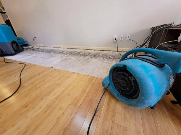 Professional Basement Flood Cleanup technician working in Miamitown, OH